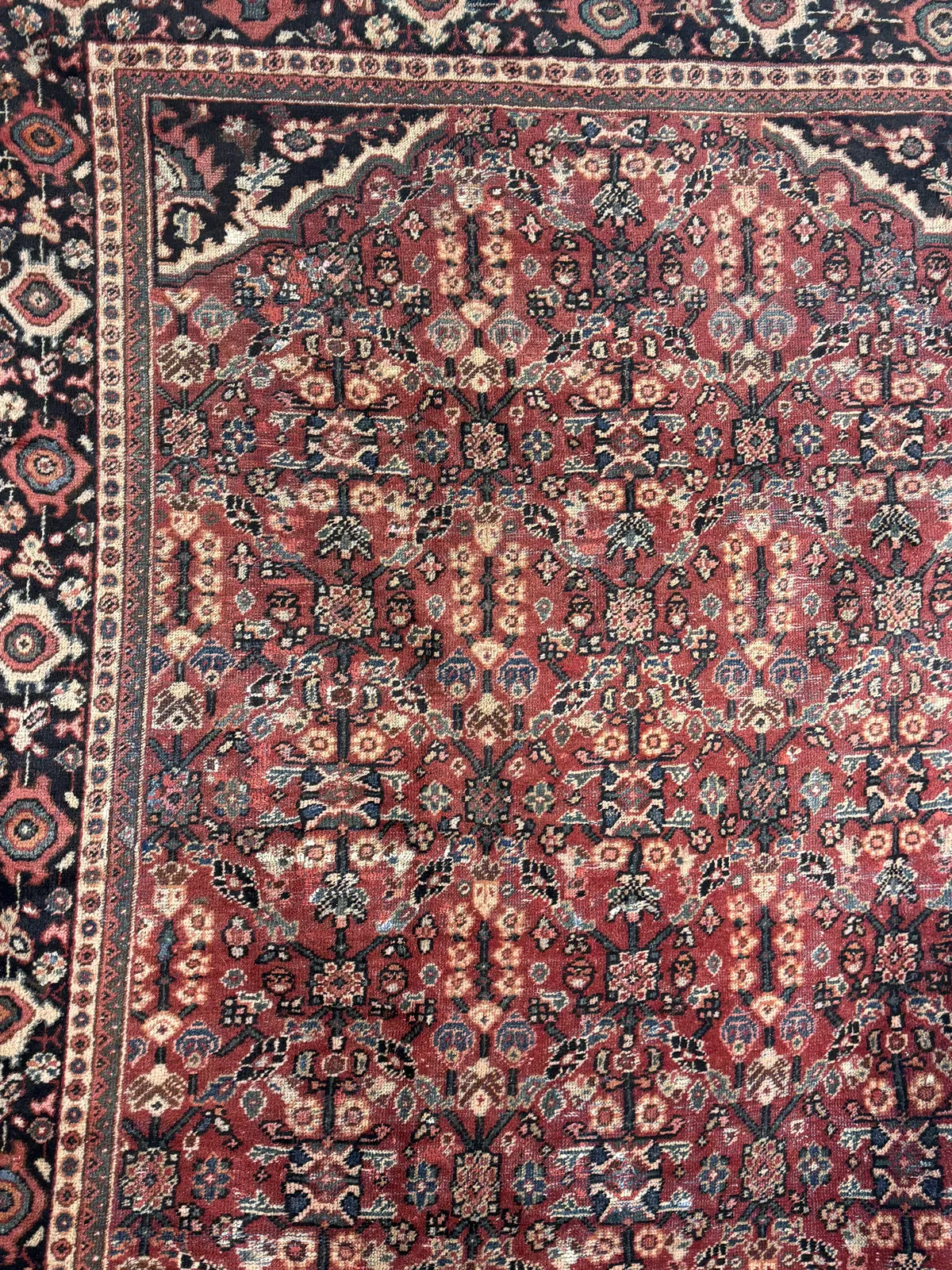 R1205-55167-153823708